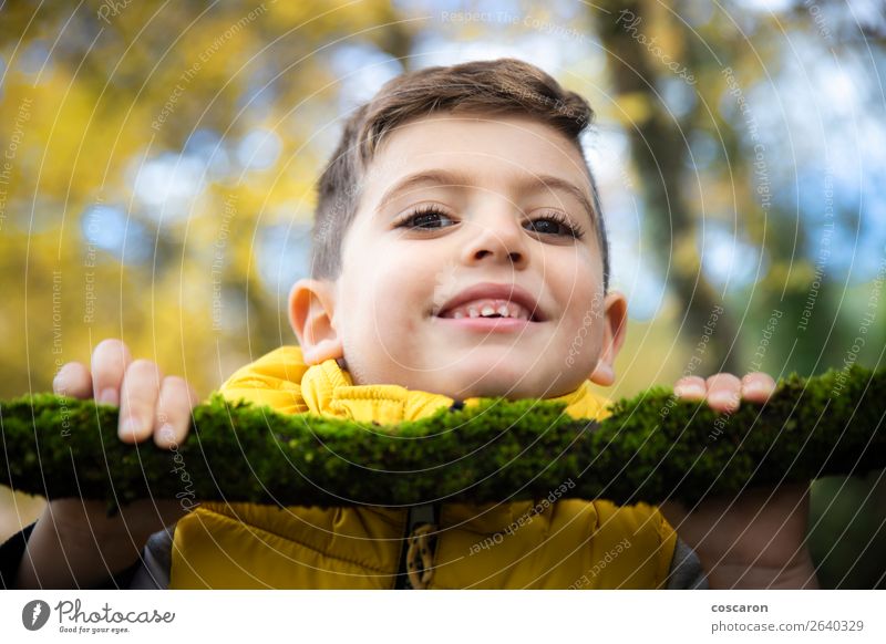Beautiful child with a yellow vest in the forest in autumn Lifestyle Style Joy Happy Face Playing Child Human being Baby Toddler Boy (child) Man Adults Infancy