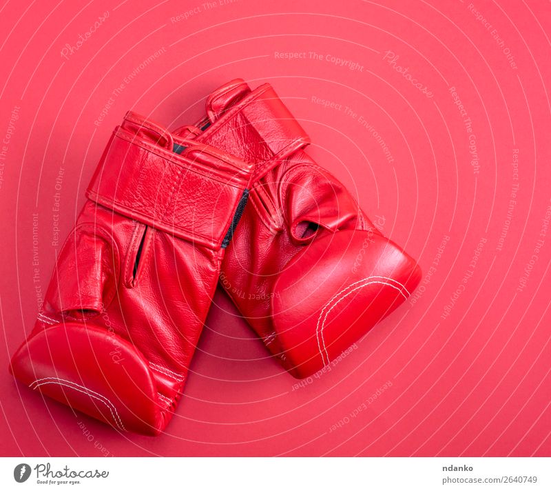 red sport leather boxing gloves on a red background Lifestyle Fitness Sports Clothing Leather Gloves New Above Red Protection Colour Competition Creativity