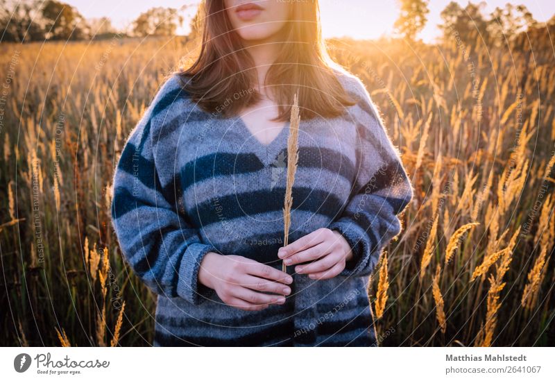 Young woman in the field Human being Feminine Youth (Young adults) 1 18 - 30 years Adults Nature Landscape Autumn Beautiful weather Field Sweater