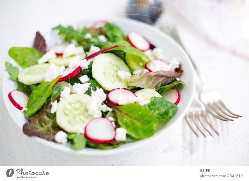 Mixed salad with baby leaves, radish, cucumber and feta cheese Cheese Vegetable Nutrition Lunch Dinner Vegetarian diet Diet Plate Bowl Fork Summer Baby Leaf