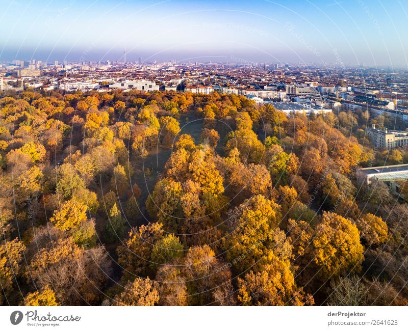 Berlin panorama with park Downtown Berlin Central perspective Deep depth of field Sunbeam Sunlight Shadow Light Morning Copy Space middle Copy Space bottom