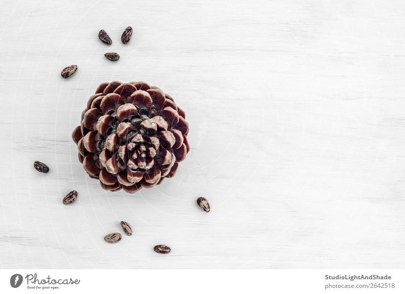 Pine tree cone and nuts on white wooden background Nutrition Eating Vegetarian diet Nature Wood Simple Natural Brown White Colour cones pine tree seeds