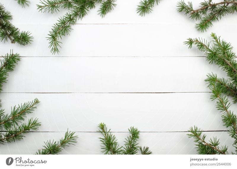 Fir twigs on white wood background whit copy space. Design Happy Winter Snow Decoration Feasts & Celebrations Christmas & Advent Craft (trade) Simple Above