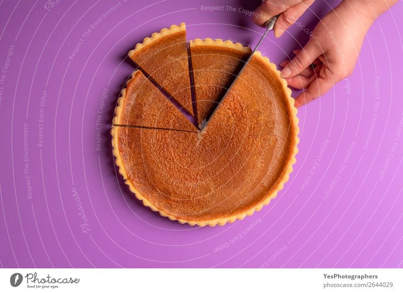Woman hands cutting a pumpkin pie. Purple background. Cake Dessert Candy Feasts & Celebrations Thanksgiving Delicious Sweet Violet Tradition Thanksgiving day