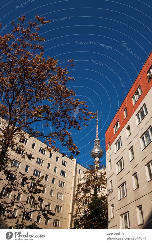 Television tower, seen from the Nikolai quarter Alexanderplatz Architecture Berlin Office City Germany Berlin TV Tower Radio technology Worm's-eye view