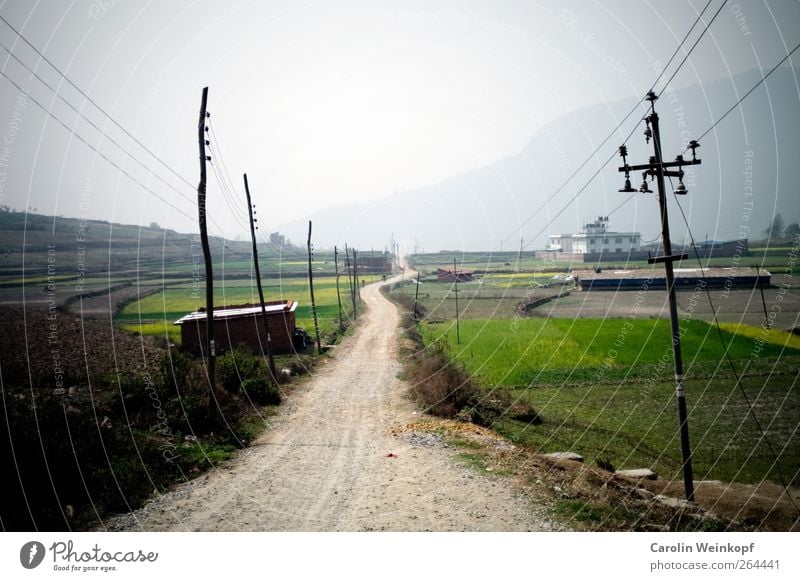 Long path ahead. Landscape Spring Summer Field Traffic infrastructure Street Lanes & trails Moody Electricity pylon Sky Country road Nepal Travel photography