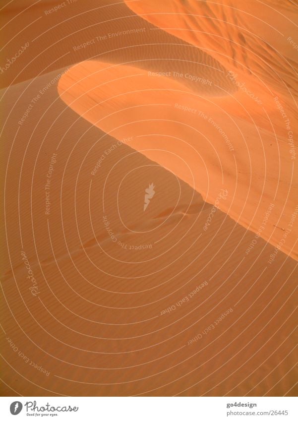 desert wave Waves Physics Red Dubai Sunlight Mountain Desert Sand Warmth Sahara euphoria