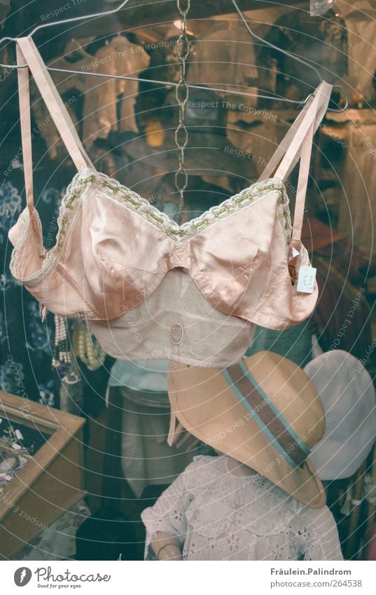 Lace Bra on a Hanger. Underwear. Stylish Lingerie Stock Image