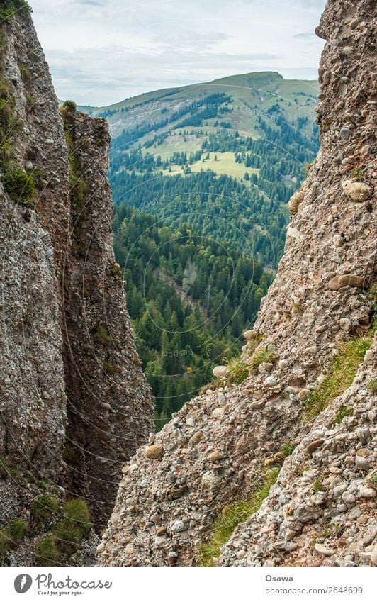 nail flea Germany Allgäu Alps Mountain Rock Building Peak Landscape Nagelfluhkette Hiking Mountaineering Climbing Nature Alpine pasture High Alps Sky Summer