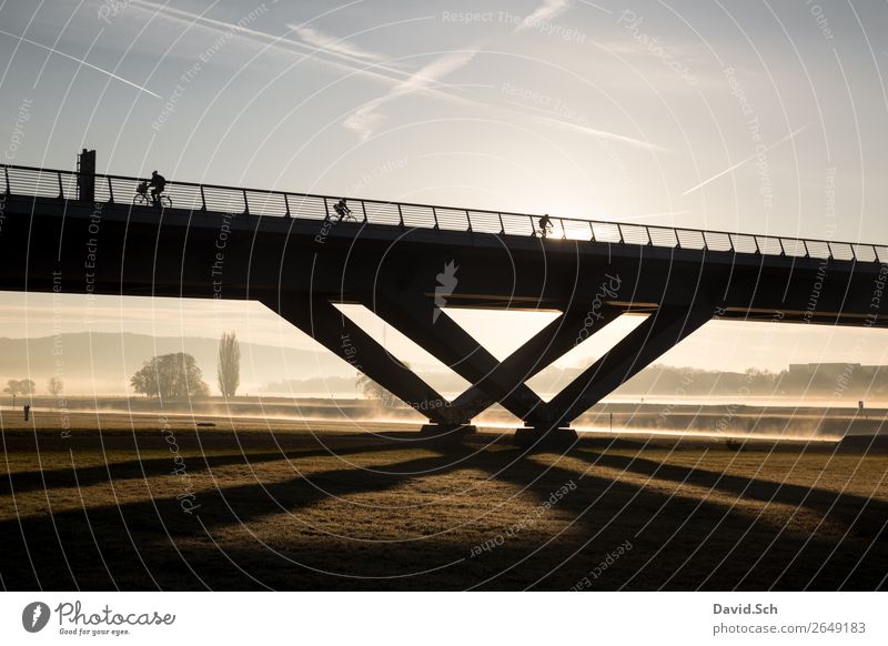 cyclist on a bridge at sunrise and fog Cycling 3 Human being Nature Landscape Sunrise Sunset Autumn Beautiful weather Tree Grass Meadow Dresden Bridge Transport