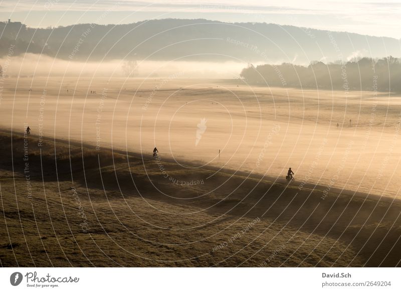 Cyclist on the Elbe cycle path near Dresden in the morning Cycling Human being 3 Landscape Sunrise Sunset Sunlight Autumn Fog Meadow Transport