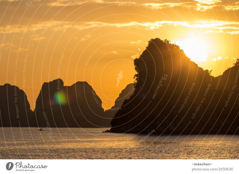 Halong Bay II Nature Landscape Elements Water Sky Beautiful weather Hill Rock Waves Coast Ocean Yellow Gold Orange Contentment Romance Relaxation Peace Vietnam