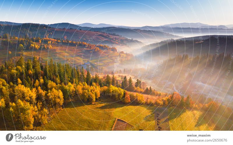 Beautiful morning light through mist and forest Vacation & Travel Trip Far-off places Freedom Mountain Hiking House (Residential Structure) Environment Nature