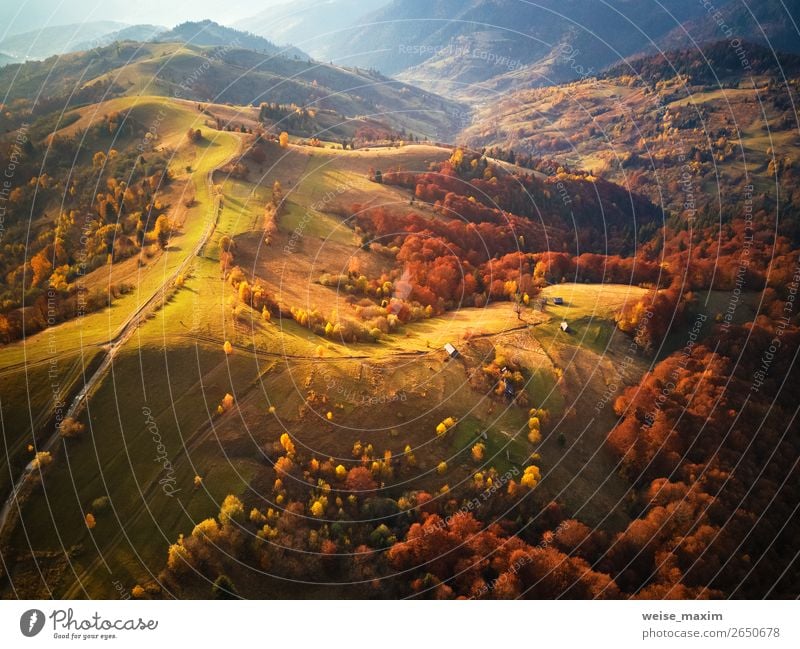 mountain autumn landscape. meadow and colorful forest Vacation & Travel Tourism Trip Far-off places Freedom Expedition Mountain Environment Nature Landscape