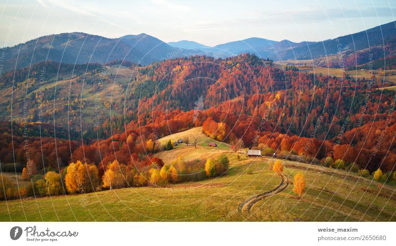 Mountain autumn landscape with meadow and colorful forest Beautiful Healthy Vacation & Travel Trip Freedom Expedition Hiking Living or residing