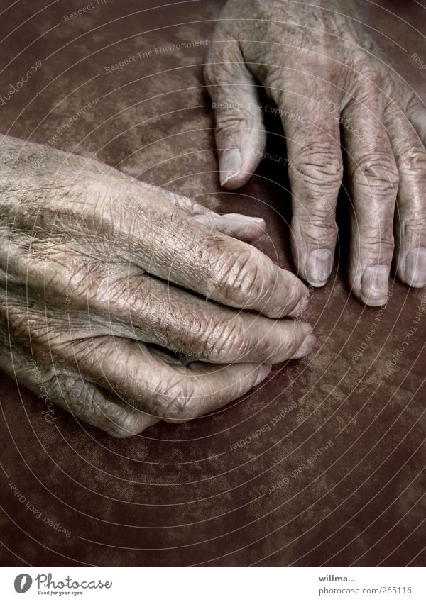 hands of a senior citizen age Hand Care of the elderly Sign of old age Retirement Retirement pension Closing time Senior citizen Male senior Human being Fingers