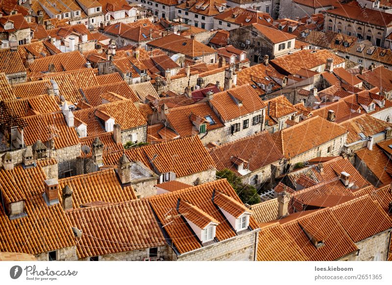 Detail of the orange roofs of Dubrovnik, Croatia Vacation & Travel Tourism Sightseeing City trip Winter Town Downtown Wall (barrier) Wall (building) Roof