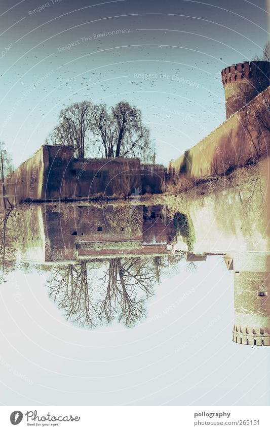 ghost castle Nature Plant Sand Water Sky Cloudless sky Sun Summer Tree Bushes Leaf Wild plant Lakeside River bank Pond Berlin Old town Castle Ruin Tower