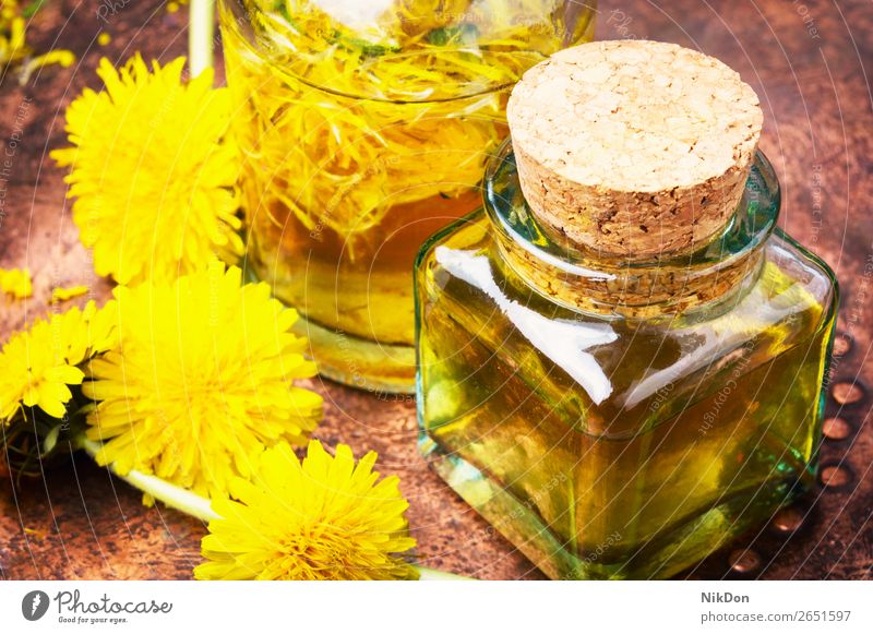 Extraction of flowers dandelions blossoming essence extraction bottle aromatherapy yellow herbalist oil essential natural health medicine wellness glass healthy