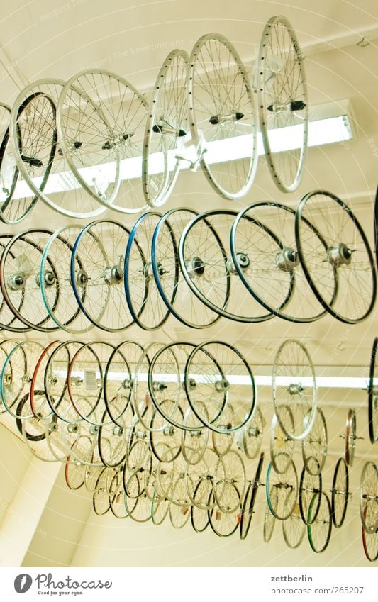 bicycle shop Leisure and hobbies Vacation & Travel Tourism Trip Cycling tour Lamp Hang New Many Offer Blanket Bicycle Wheel rim Load Room Shop window Selection