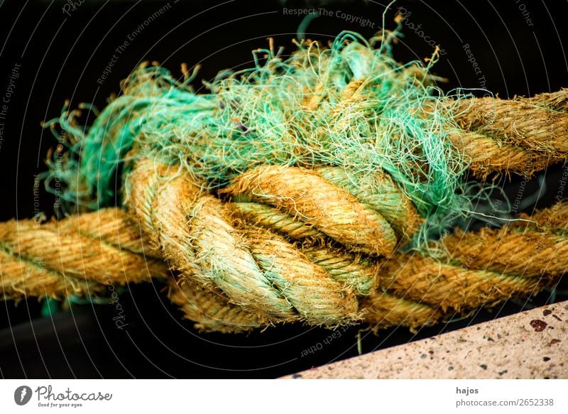 Knot of a mooring line in a harbour Navigation Old Maritime Yellow Rope sailor knot Dew Fat hemp rope mooring rope Close-up leash Colour photo Exterior shot Day