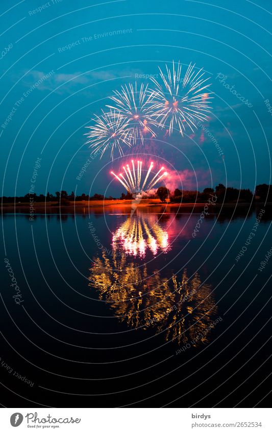 party mood Night life Party Event Firecracker Landscape Water Night sky Summer Lakeside River Elbe Feasts & Celebrations Glittering Illuminate Esthetic
