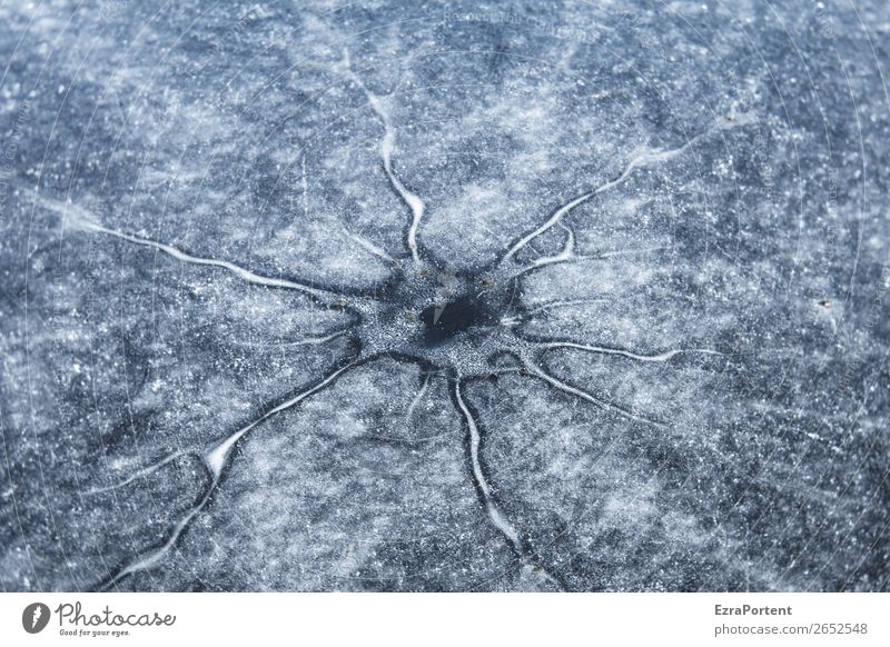 cell Environment Nature Winter Ice Frost Esthetic Cold Body cell Natural phenomenon Frozen Black & white photo Exterior shot Close-up Detail Deserted