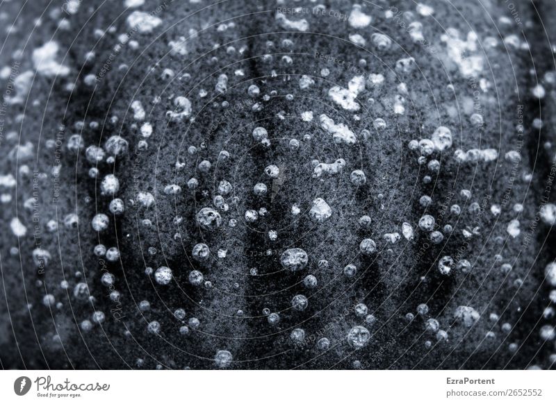with active oxygen Environment Nature Winter Ice Frost Lake Esthetic Cold Bubble Natural phenomenon Many Multiple Black & white photo Exterior shot Close-up