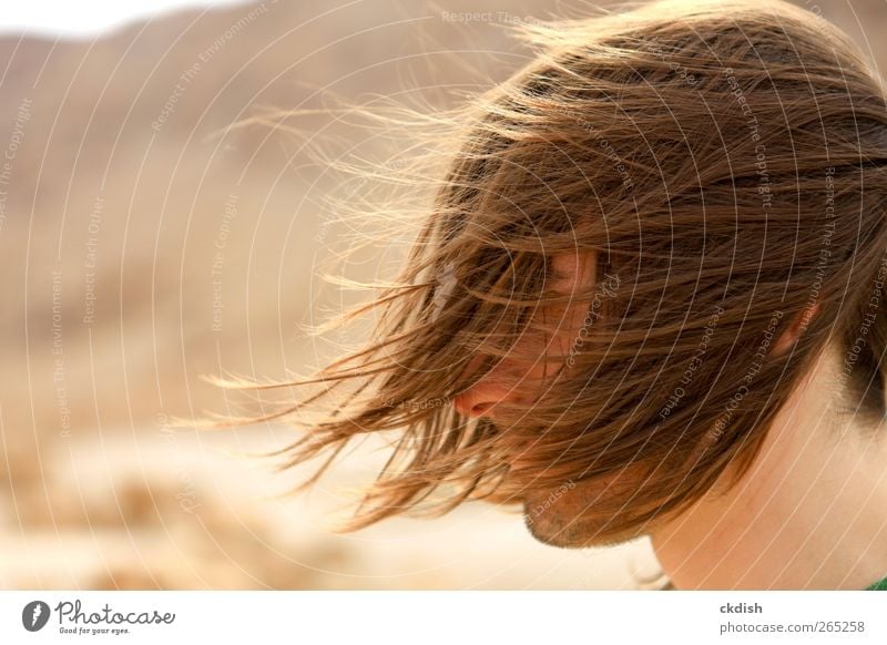 Man's long hair blowing in the wind Masculine Adults Youth (Young adults) Head Hair and hairstyles 1 Human being 18 - 30 years Brunette Facial hair