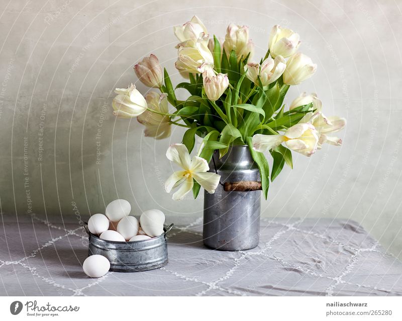 Still life with tulips Food Egg Hen's egg Nutrition Plant Tulip Blossom Bouquet Milk churn Bowl Wood Metal Blossoming Fragrance Lie Esthetic Yellow Green Silver