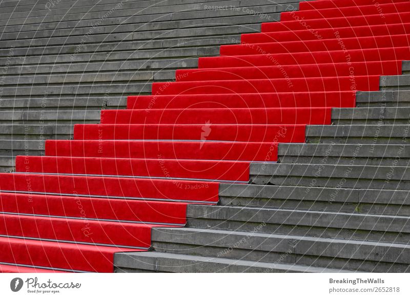 Red carpet over concrete stairs perspective Design Feasts & Celebrations Architecture Stairs Stone Concrete Gray Perspective Carpet Ascending event ceremony
