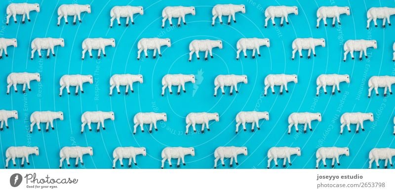 Pattern made of sheep. Animal Sheep Paper Toys Design above background pattern card banner Blue border arragement Celebration of success Cheerful belem flat lay