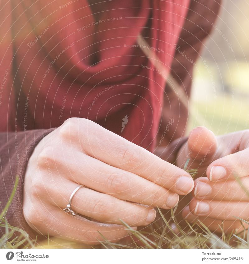 I. Hand Ring Delicate Soft Summer Sunbeam Nail Fingernail Rag Scarf Red Meadow Grass Touch Emotions