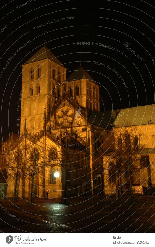 Cathedral of Münster Roof Tree Dark Night Night shot Lantern Architecture Dome Cathedral Square Tower Religion and faith