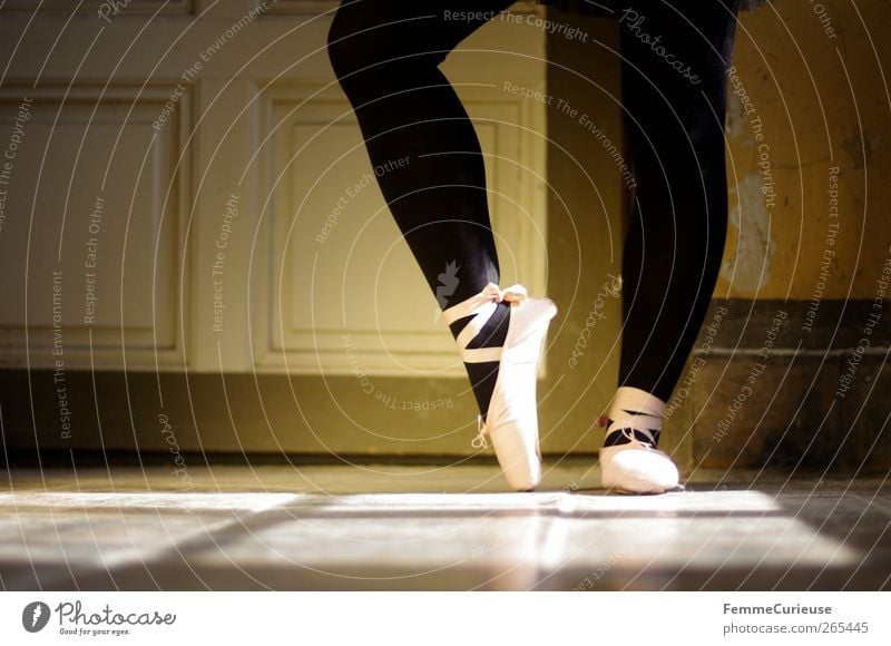 Ballet VII. Artist Dance Dancer Esthetic Movement Concentrate Precision Sports Training Posture Ballet shoe Tights Black Pink Interior shot Copy Space left