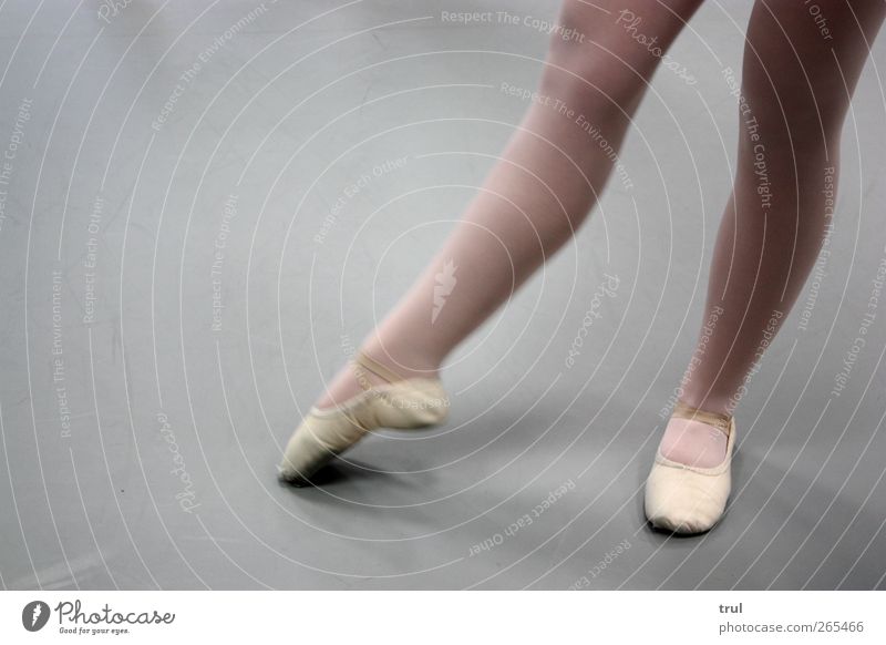 Ballet legs the 2. Dance Ballerina Ballet shoe Dancing school Feminine Young woman Youth (Young adults) Legs Feet Dancer Tights Esthetic Thin Athletic Power