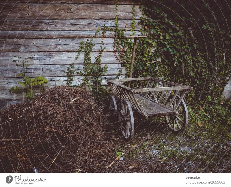 Yesterday's mobility Building Wall (barrier) Wall (building) Trolley Old Historic Wood Wooden wall Ivy Cart Agriculture Farm Transportation vehicle Museum