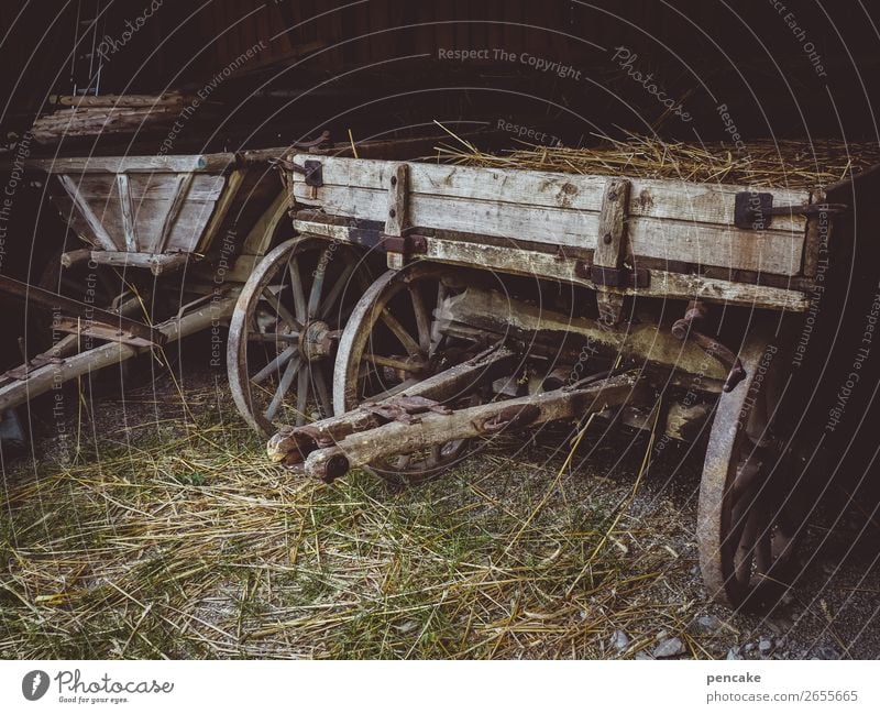 agrar oldtimer Nature Hut Trolley Trailer Old Historic Farm Open-air museum Cart Straw Wood Agriculture Transportation vehicle Colour photo Subdued colour