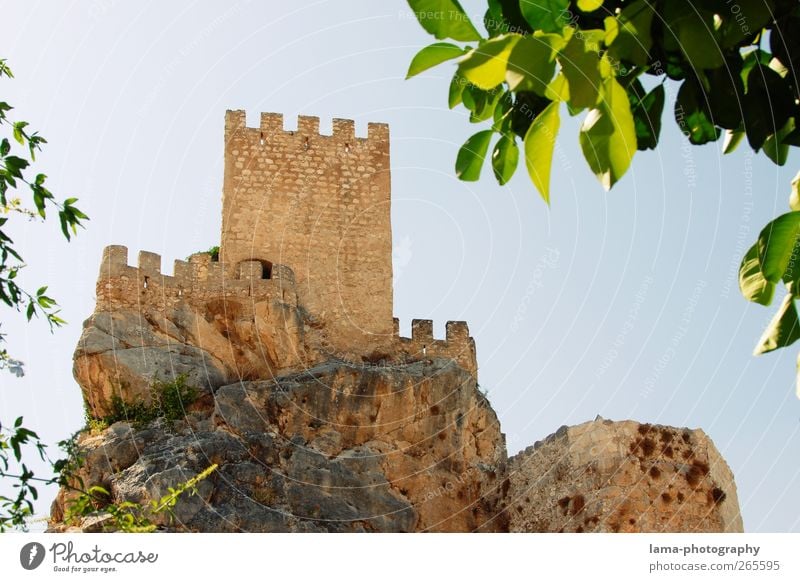 Castillo [XXXIII] Leaf Foliage plant Rock Zuheros Andalucia Spain Castle Ruin Tower Wall (barrier) Wall (building) Landmark Old Past Medieval times Defensive