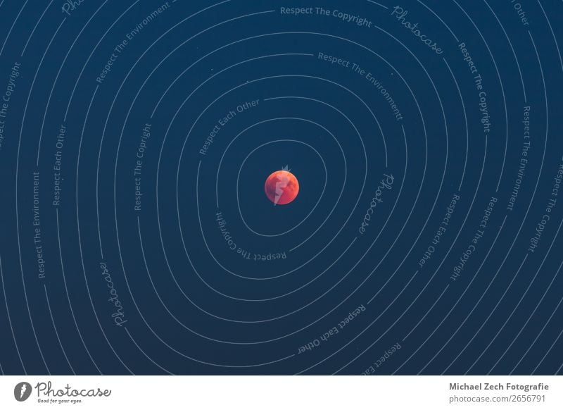 Bloodmoon or red moon phenomenon with dark sky Science & Research Nature Landscape Sky Moon Dark Bright Natural New Red Black Mysterious bloodmoon Astronomy