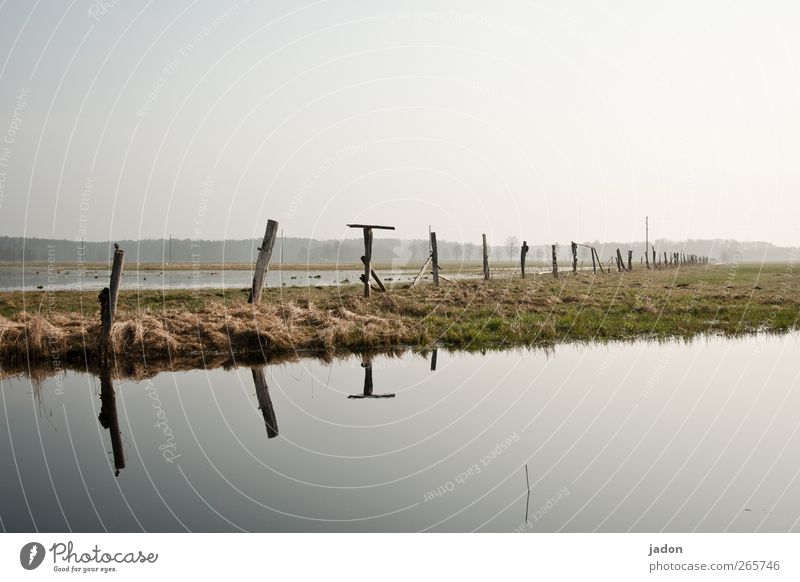 the spring flood Meditation Fishing (Angle) Freedom Swimming pool Landscape Water Sky Grass Field Bog Marsh Infinity Green Peaceful Nature Mirror image