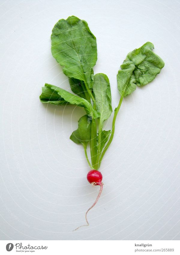 radish Food Vegetable Radish Nutrition Organic produce Vegetarian diet Diet Healthy Fresh Delicious Natural Round Green Red White To enjoy Nature Leaf Root