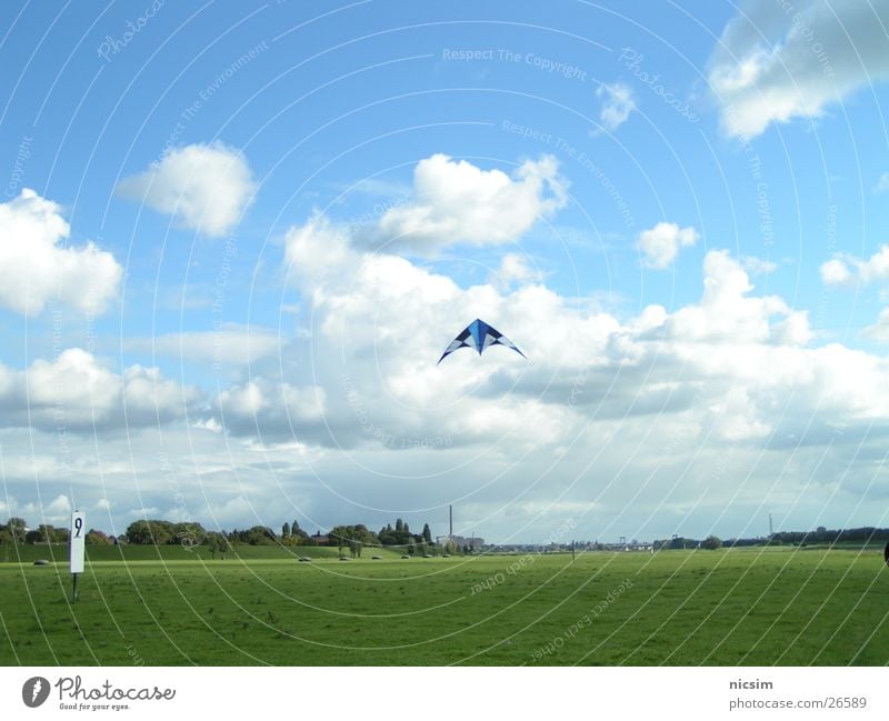 aviator Meadow Clouds Dike Tree Duisburg Dragon Weather Sky Rhine Flying Blue