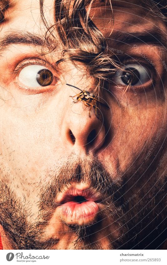 instant Human being Masculine Face Eyes Facial hair 18 - 30 years Youth (Young adults) Adults wasp Curiosity Colour photo Interior shot Close-up Detail