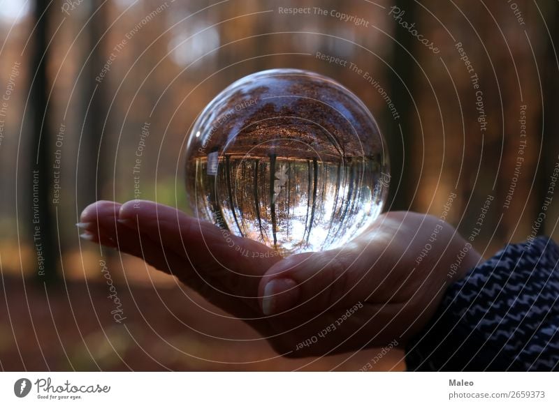 Autumn through a glass ball Ball Illumination Fingers Autumn leaves Background picture Sphere Beautiful Brown Circle Landscape Crystal Day Vicinity Tree Fantasy