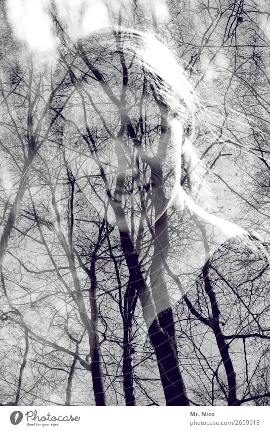 nebulous forest spirit. Feminine Woman Adults 1 Human being 18 - 30 years Youth (Young adults) Observe Tree Autumn Double exposure Curiosity Self-confident