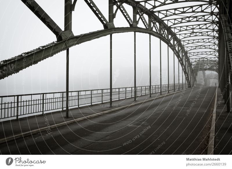 Ice advertising bridge in Berlin in fog Environment Landscape Autumn Fog Lake Bridge Transport Traffic infrastructure Passenger traffic Road traffic Cycling