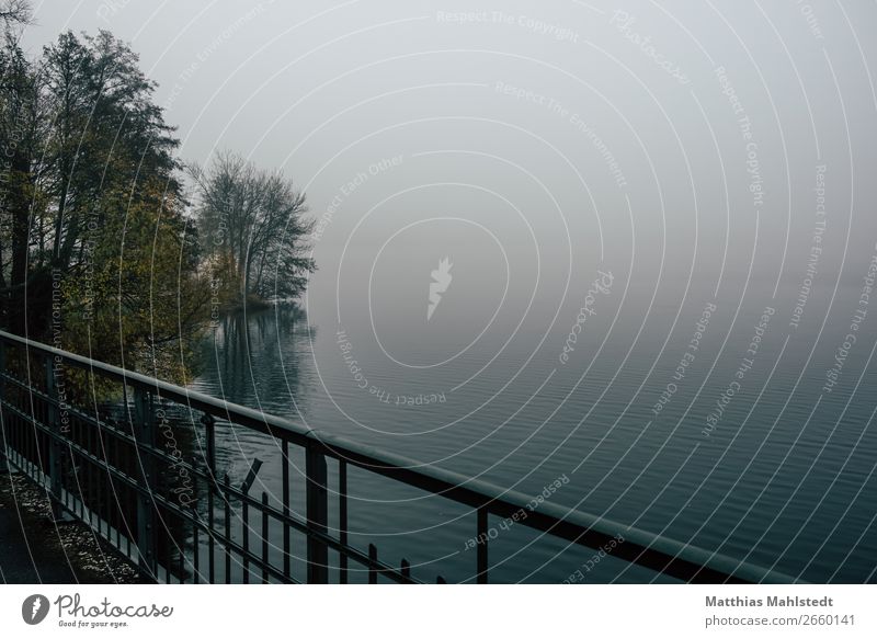 Fog at the lake Environment Nature Landscape Autumn Weather Lake Bridge Cold Blue Calm Loneliness Relaxation Moody Colour photo Subdued colour Exterior shot