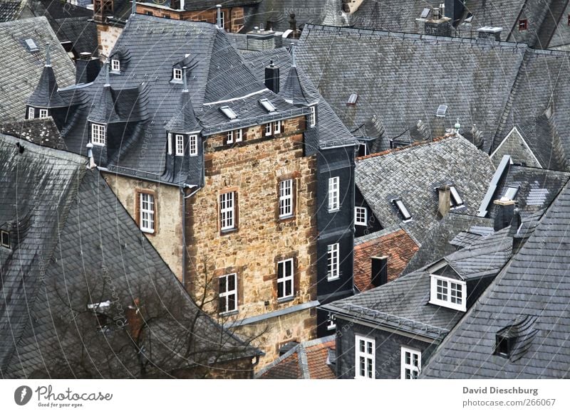 Good old Marburg Town Downtown Old town House (Residential Structure) Castle Facade Window Roof White Slate Oriel Oriel window Beautiful City trip Hesse