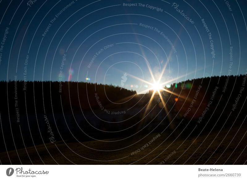 sunrise Forest Hill Sunlight Stars enlightenment new day Future